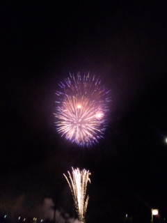 hanabi5